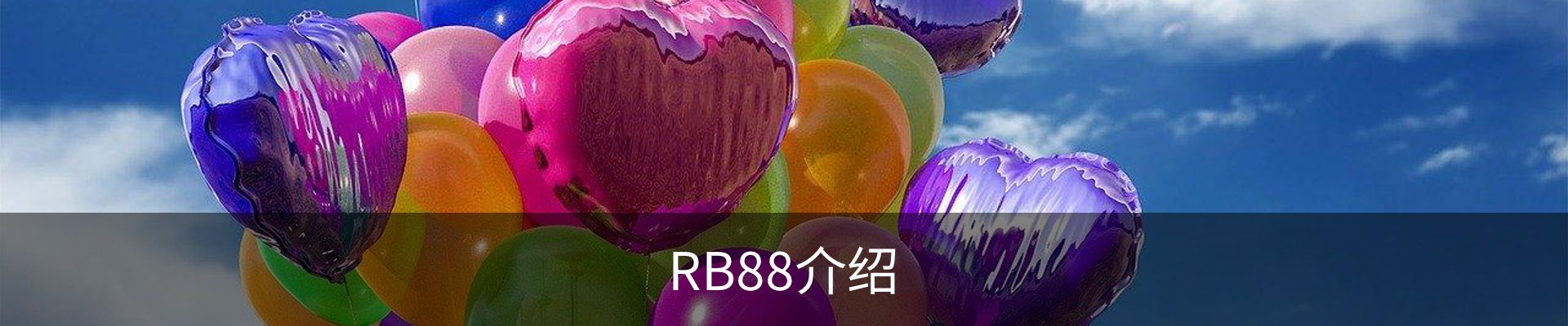 RB88介绍